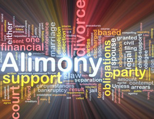 Muskegon County Spousal Support Alimony Attorney Lawyer